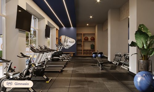 Gimnasio